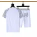 Louis Vuitton tracksuits for Louis Vuitton short tracksuits for men #A51964