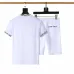 Louis Vuitton tracksuits for Louis Vuitton short tracksuits for men #A51966