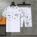 Louis Vuitton tracksuits for Louis Vuitton short tracksuits for men #A51969