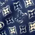 Louis Vuitton tracksuits for Louis Vuitton short tracksuits for men #A52211