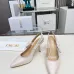 Dior Shoes for Dior High-heeled Shoes for women #A53221